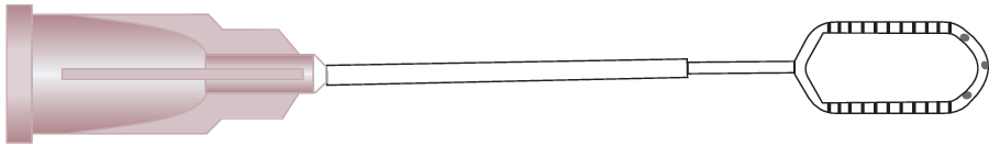 Irrigating Vectis (Drews-Knolle)